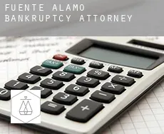 Fuente-Álamo  bankruptcy attorney