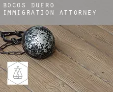 Bocos de Duero  immigration attorney
