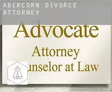 Abercorn divorce attorney