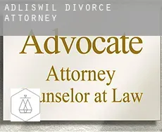 Adliswil  divorce attorney