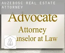 Auzebosc  real estate attorney