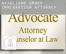 Avigliano Umbro  immigration attorney