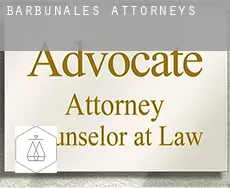 Barbuñales  attorneys