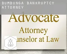 Bumbunga bankruptcy attorney