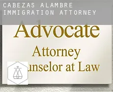 Cabezas de Alambre  immigration attorney