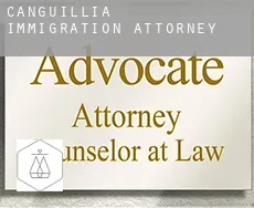 Canguillia  immigration attorney