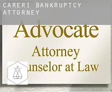 Careri  bankruptcy attorney