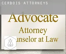 Cerbois  attorneys