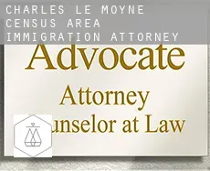 Charles-Le Moyne (census area)  immigration attorney