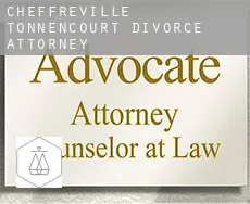 Cheffreville-Tonnencourt divorce attorney