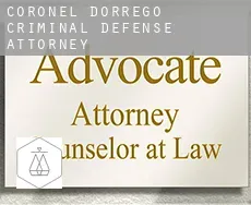 Partido de Coronel Dorrego  criminal defense attorney