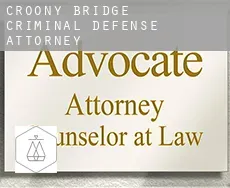 Croony Bridge criminal defense attorney