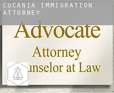 Cucania  immigration attorney