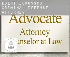 Dolní Bukovsko  criminal defense attorney