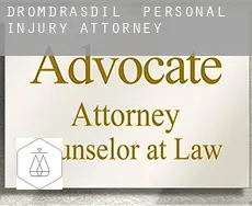Dromdrasdil  personal injury attorney
