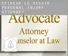 Épineux-le-Seguin personal injury attorney