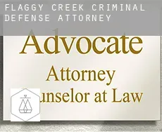 Flaggy Creek  criminal defense attorney
