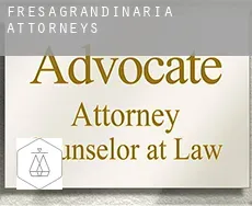 Fresagrandinaria attorneys