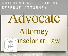 Gniebendorf  criminal defense attorney
