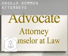 Gnosjö Kommun  attorneys