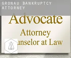 Gronau  bankruptcy attorney