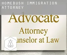 Homebush immigration attorney