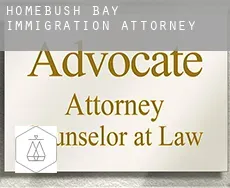 Homebush Bay  immigration attorney