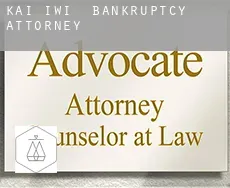 Kai Iwi  bankruptcy attorney