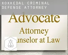 Kokkedal  criminal defense attorney