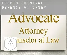 Koppio  criminal defense attorney