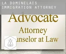 La Dominelais  immigration attorney