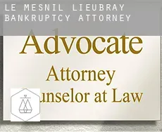 Le Mesnil-Lieubray  bankruptcy attorney