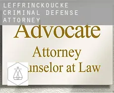 Leffrinckoucke  criminal defense attorney