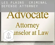 Les Plains  criminal defense attorney