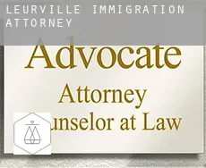 Leurville  immigration attorney