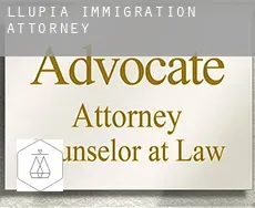 Llupia  immigration attorney