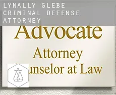 Lynally Glebe  criminal defense attorney