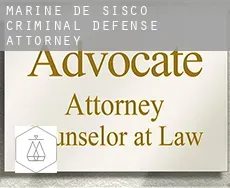 Marine de Sisco  criminal defense attorney
