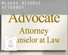 Mesero  divorce attorney