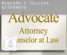 Monesma y Cajigar  attorneys