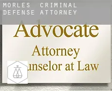 Morles criminal defense attorney