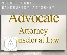 Mount Forbes  bankruptcy attorney