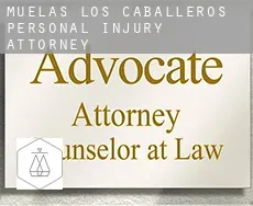 Muelas de los Caballeros  personal injury attorney