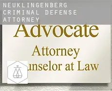 Neuklingenberg  criminal defense attorney