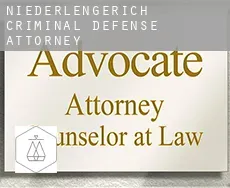 Niederlengerich  criminal defense attorney