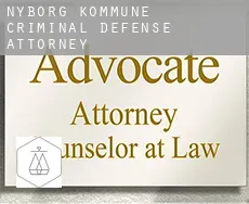 Nyborg Kommune criminal defense attorney