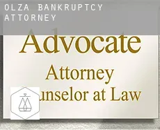 Olza  bankruptcy attorney