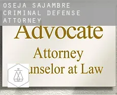 Oseja de Sajambre  criminal defense attorney