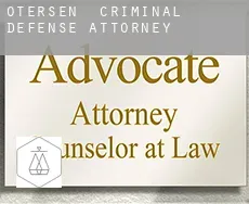 Otersen  criminal defense attorney