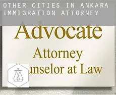 Other cities in Ankara  immigration attorney